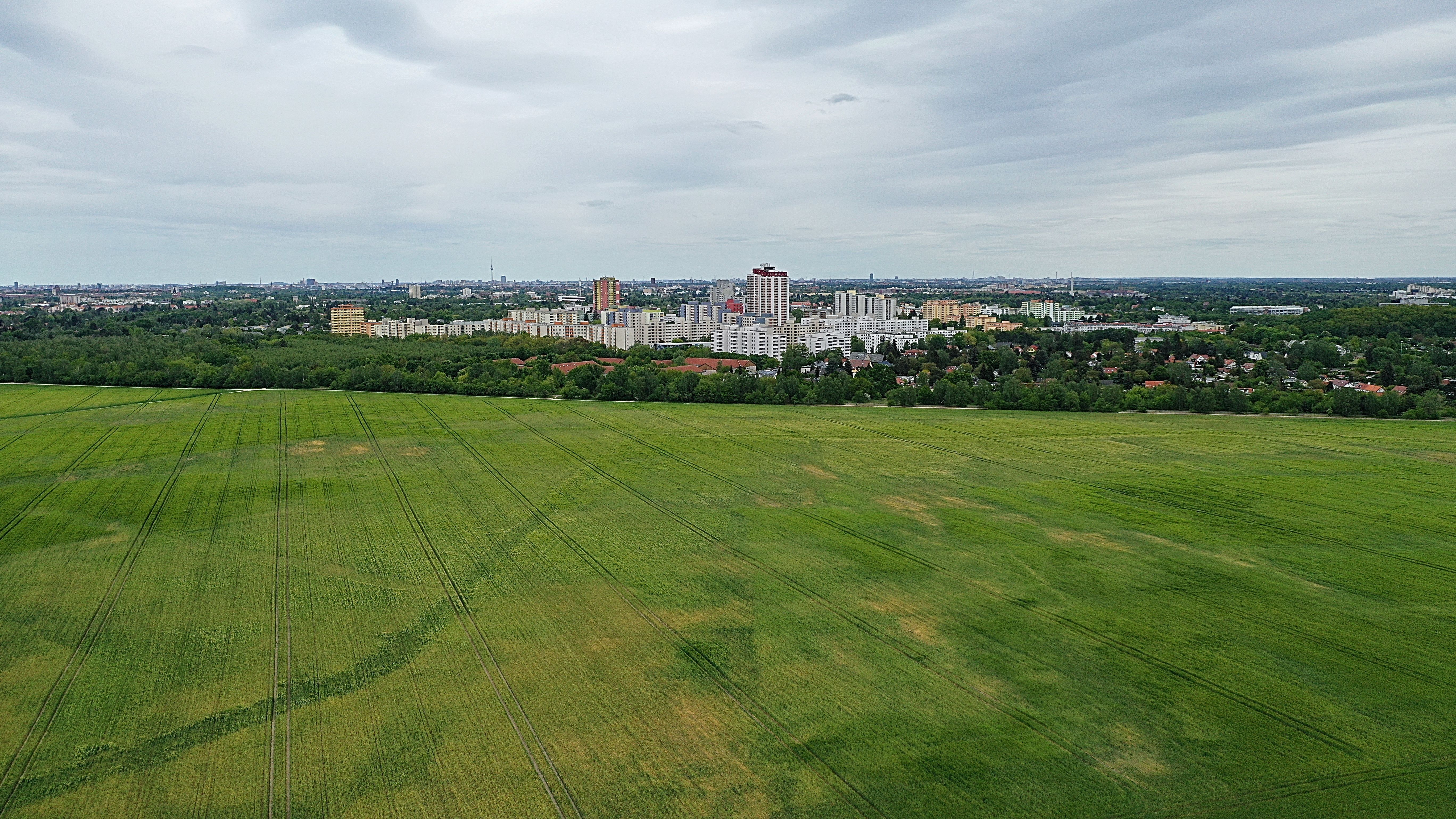 aerial-view-of-a-green-field-with-city-buildings-i-2025-02-09-01-54-34-utc.jpeg